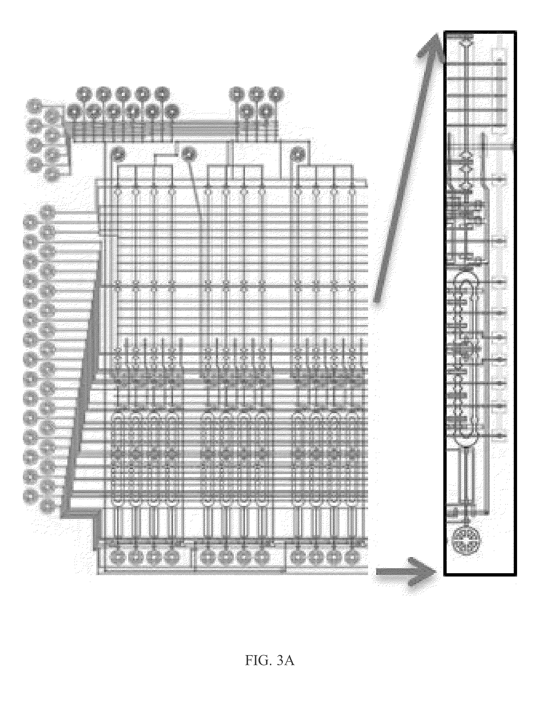 Novel hybridization probes and uses thereof