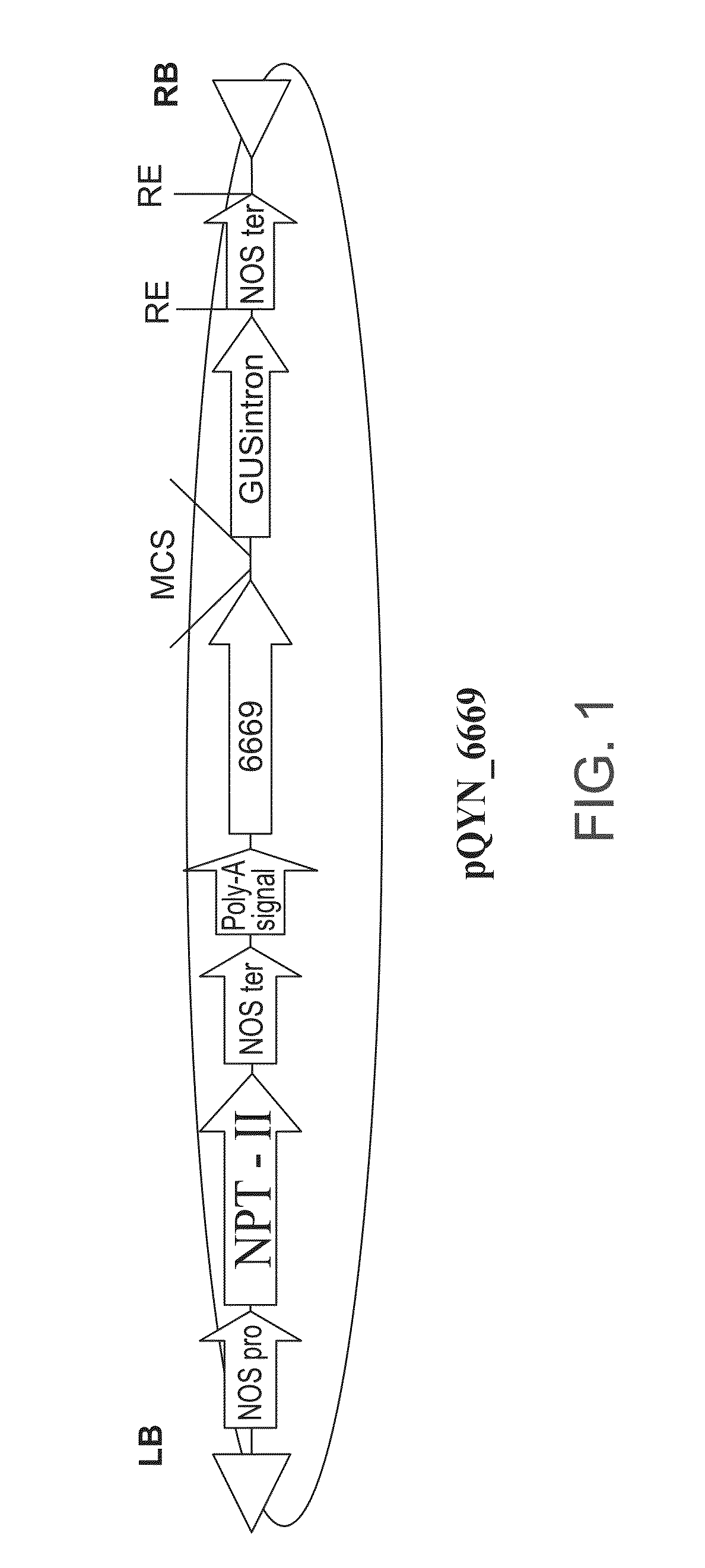 Isolated polynucleotides and polypeptides, and methods of using same for increasing plant yield and/or agricultural characteristics