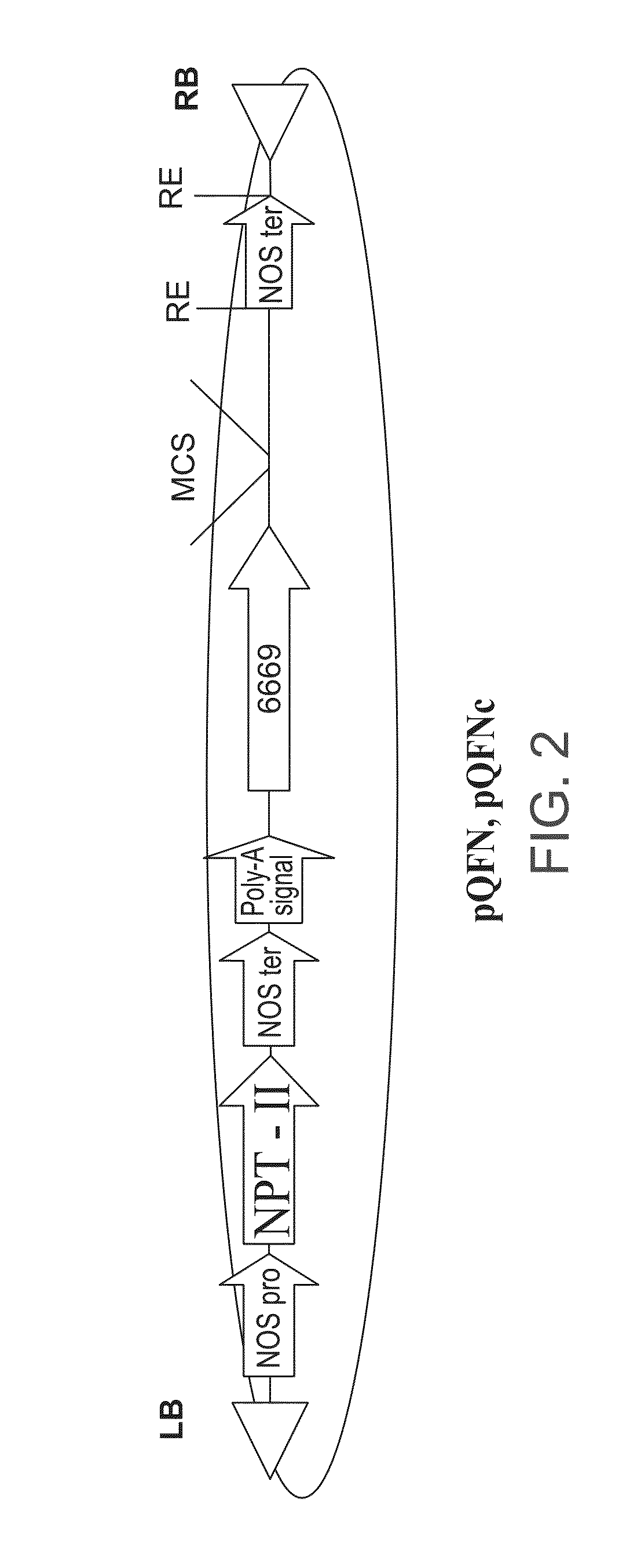 Isolated polynucleotides and polypeptides, and methods of using same for increasing plant yield and/or agricultural characteristics