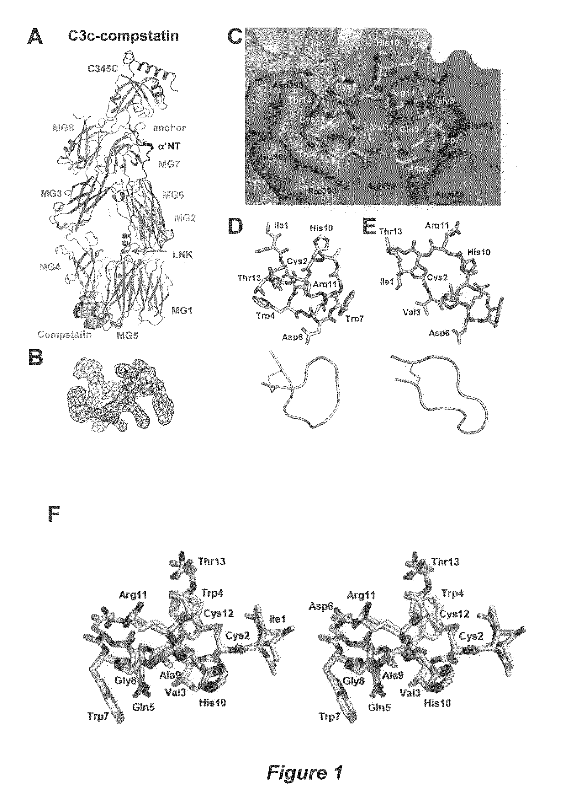 Structure of compstatin-C3 complex and use for rational drug design