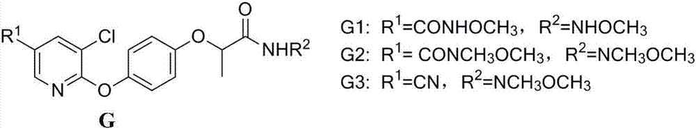 N-[(dihydrobenzofuran-7-yloxyl)alkyl]-2-aryloxy amide derivatives