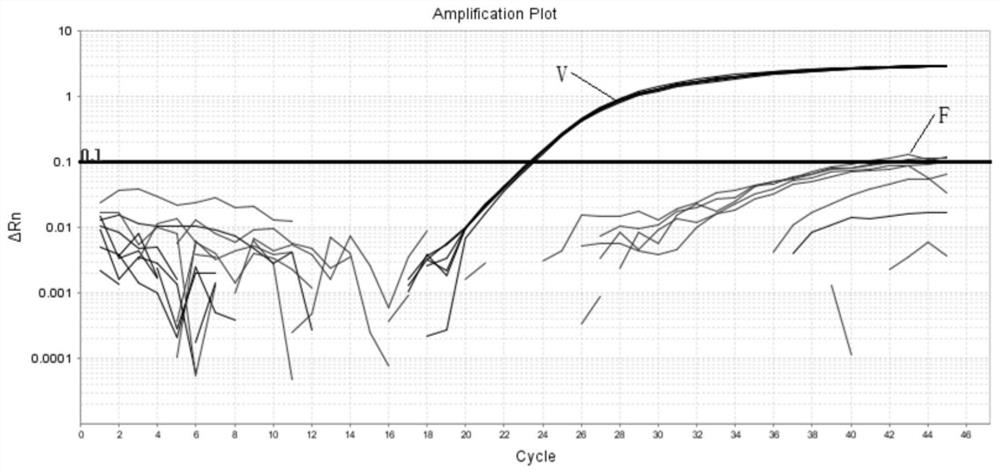 Primer group, probe group and kit for detecting high-frequency gene pathogenic variation