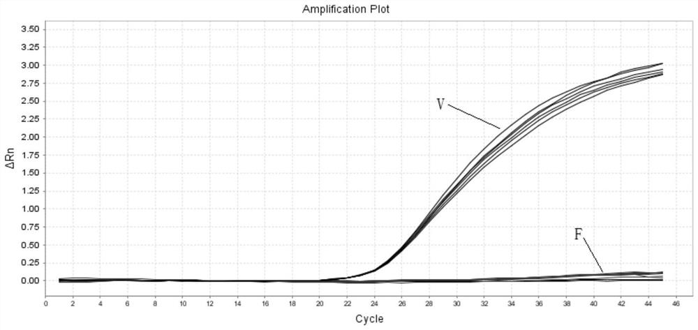 Primer group, probe group and kit for detecting high-frequency gene pathogenic variation