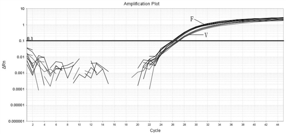 Primer group, probe group and kit for detecting high-frequency gene pathogenic variation