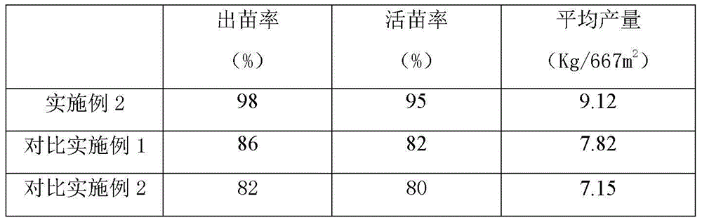 Direct seeding planting method of rice in dry land