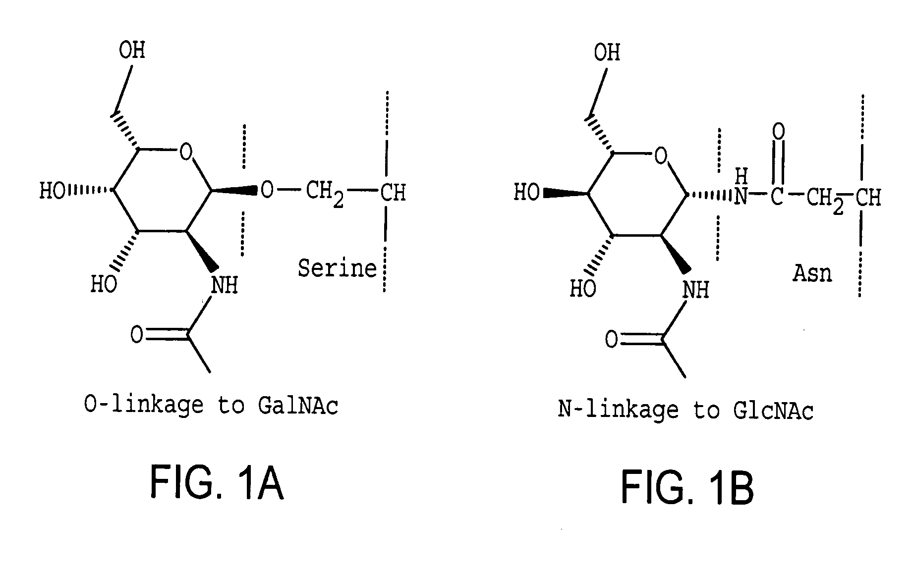 Homogeneous populations of molecules