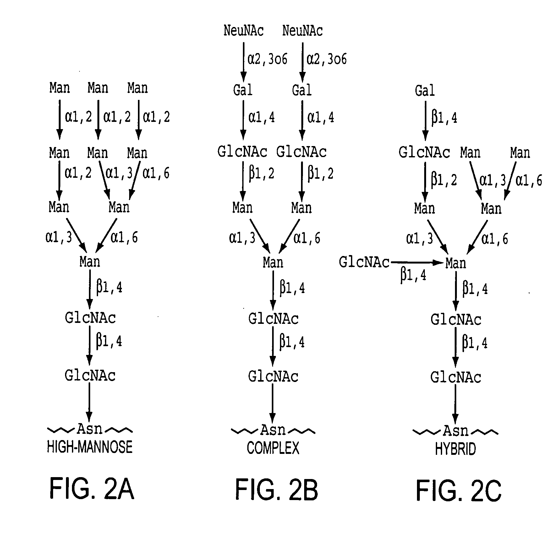 Homogeneous populations of molecules