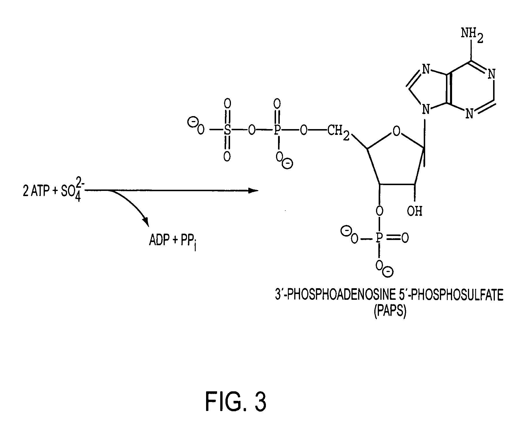 Homogeneous populations of molecules