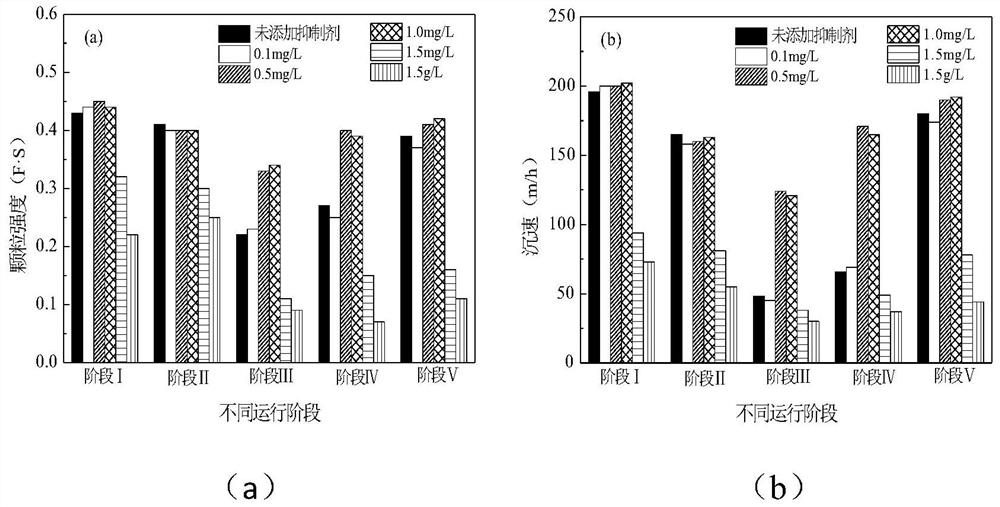 A method for improving the impact resistance of anaerobic ammonia oxidation particles