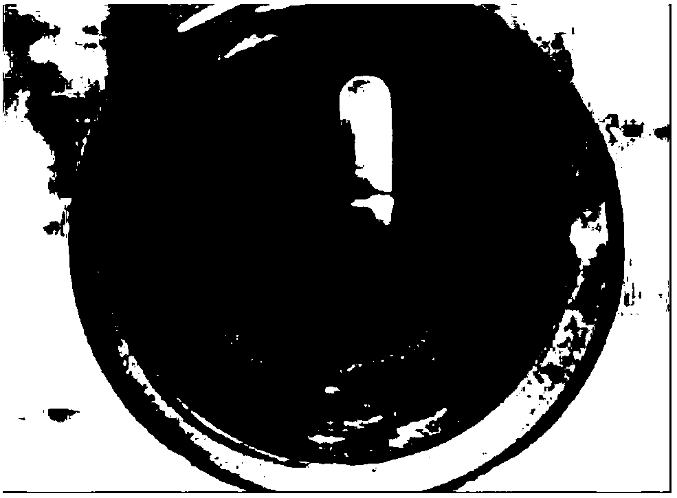 Catalyst for degrading phenol in water as well as preparation method and application thereof