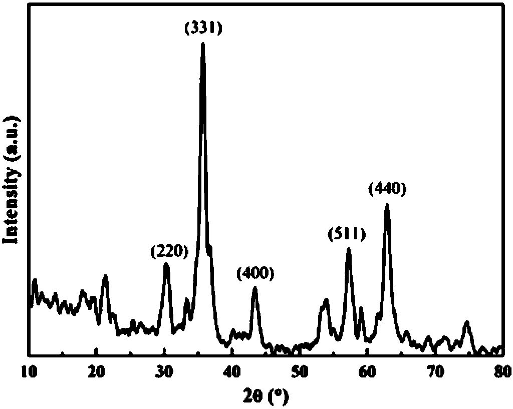 Catalyst for degrading phenol in water as well as preparation method and application thereof