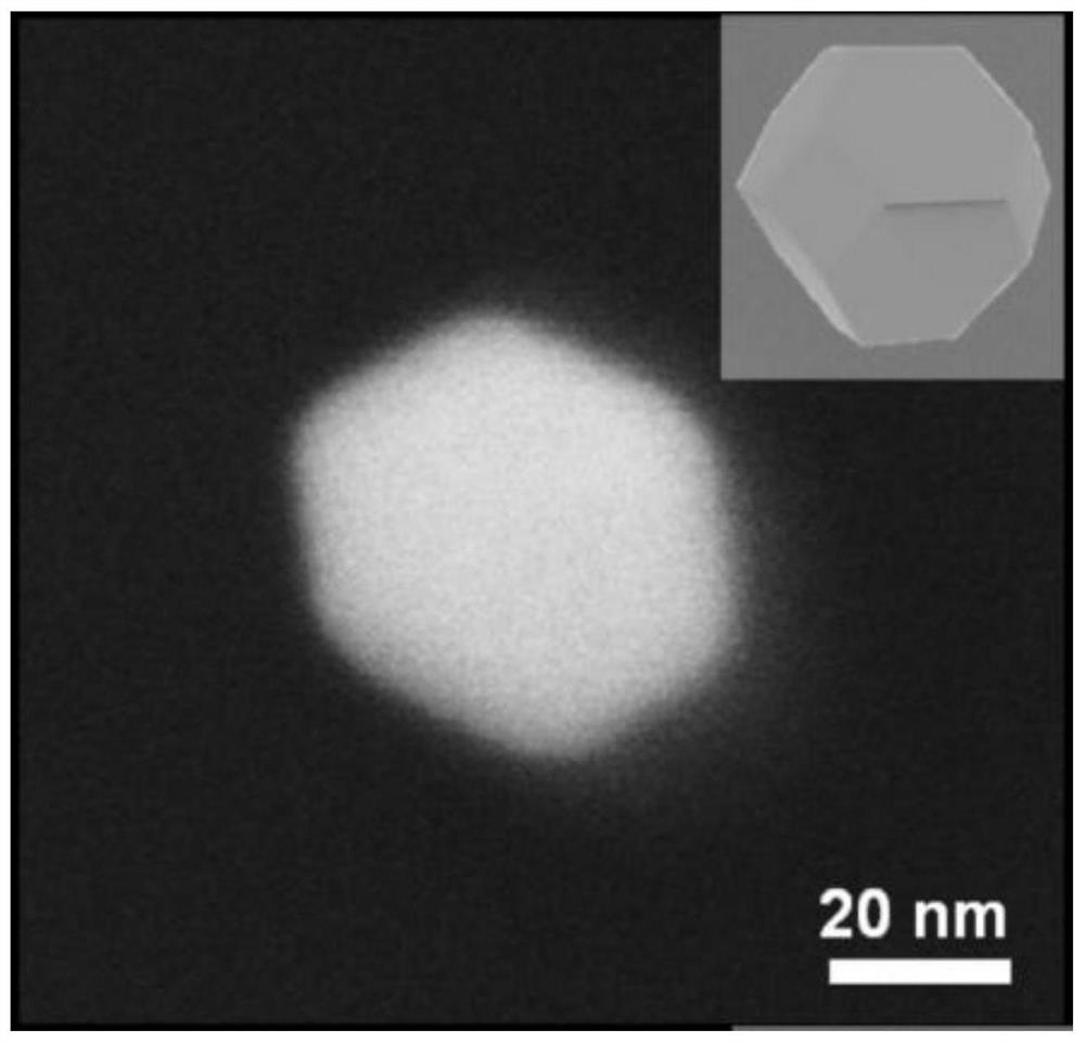 A kind of preparation method of platinum-gold nanocage and its application in catalyst