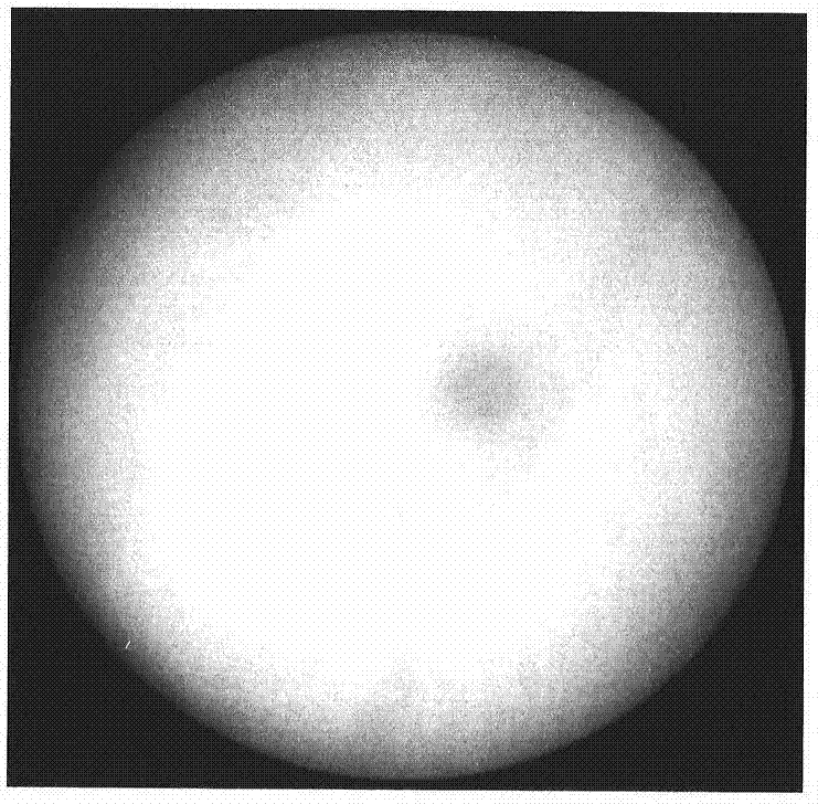 Automatic extraction method for sun outline