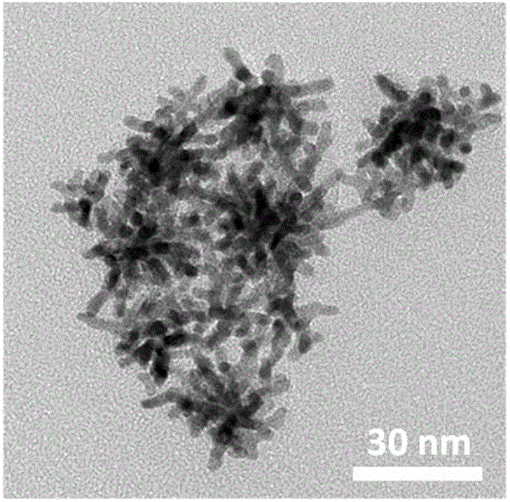 Branched gold-platinum dual-metal nanoparticle as well as preparation method and application thereof