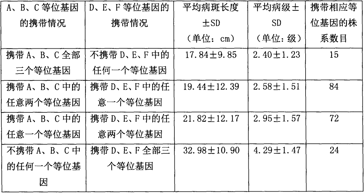 Method for polymerizing three banded sclerotial blight resistance genes of Lemont and YangDao No.4