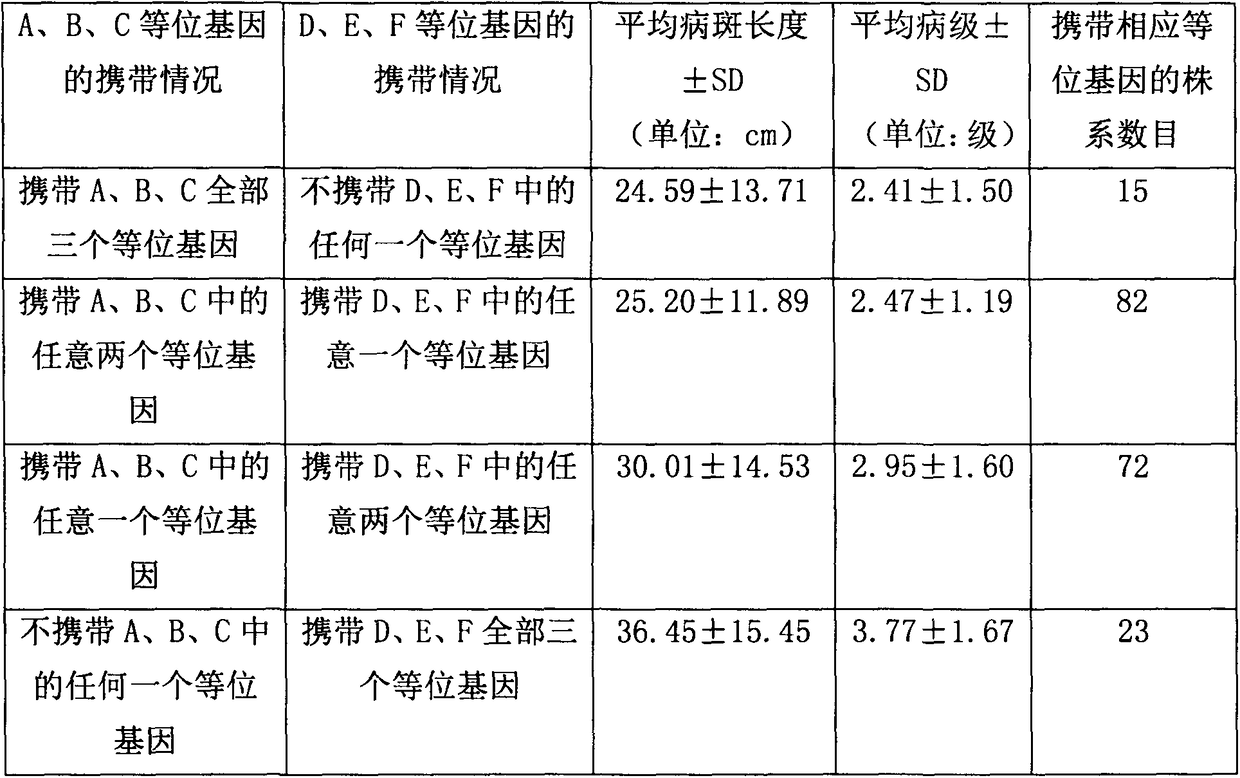 Method for polymerizing three banded sclerotial blight resistance genes of Lemont and YangDao No.4