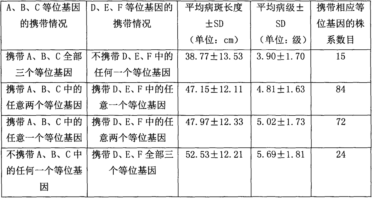 Method for polymerizing three banded sclerotial blight resistance genes of Lemont and YangDao No.4