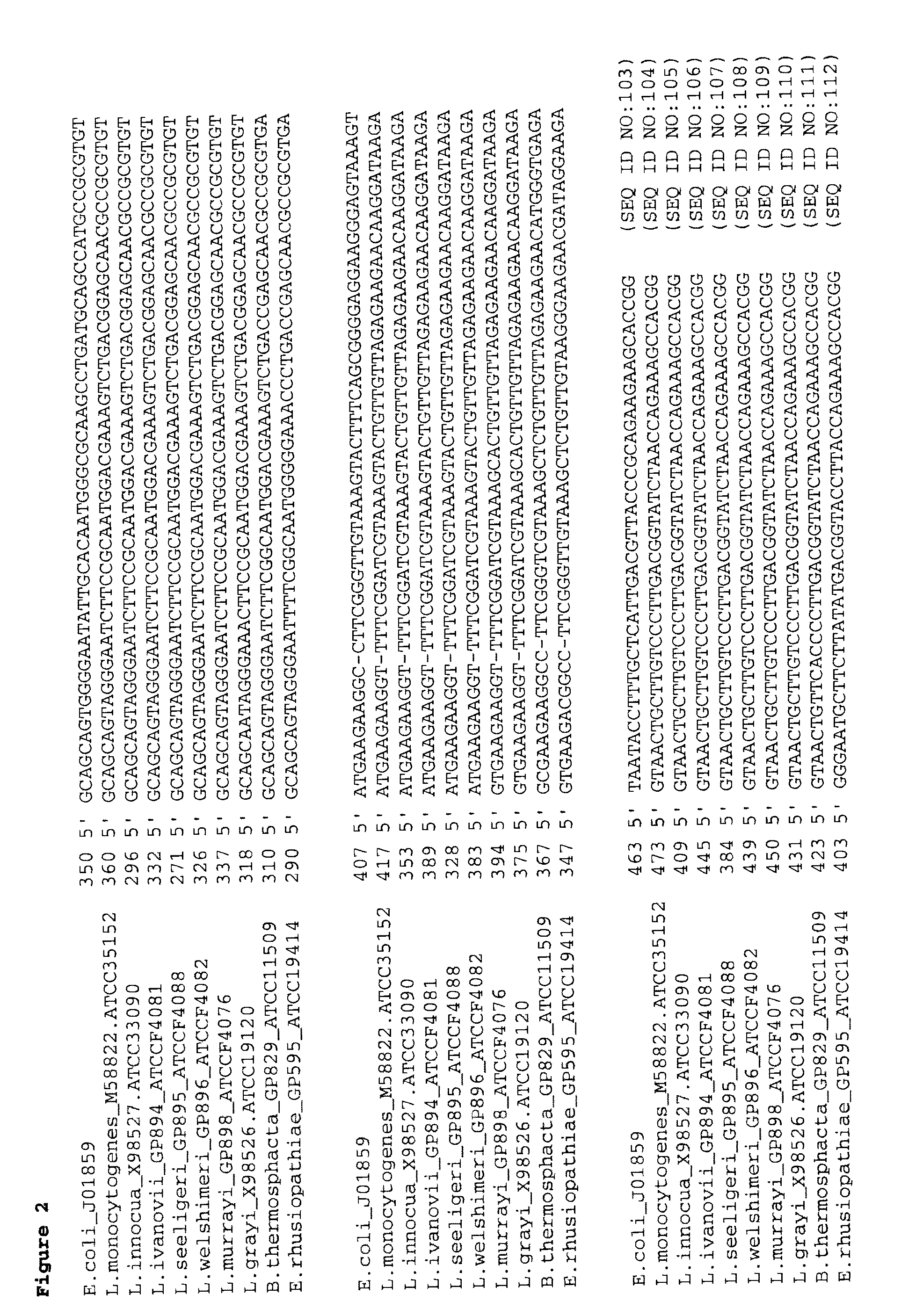 Compositions, kits and related methods for the detection and/or monitoring of Listeria