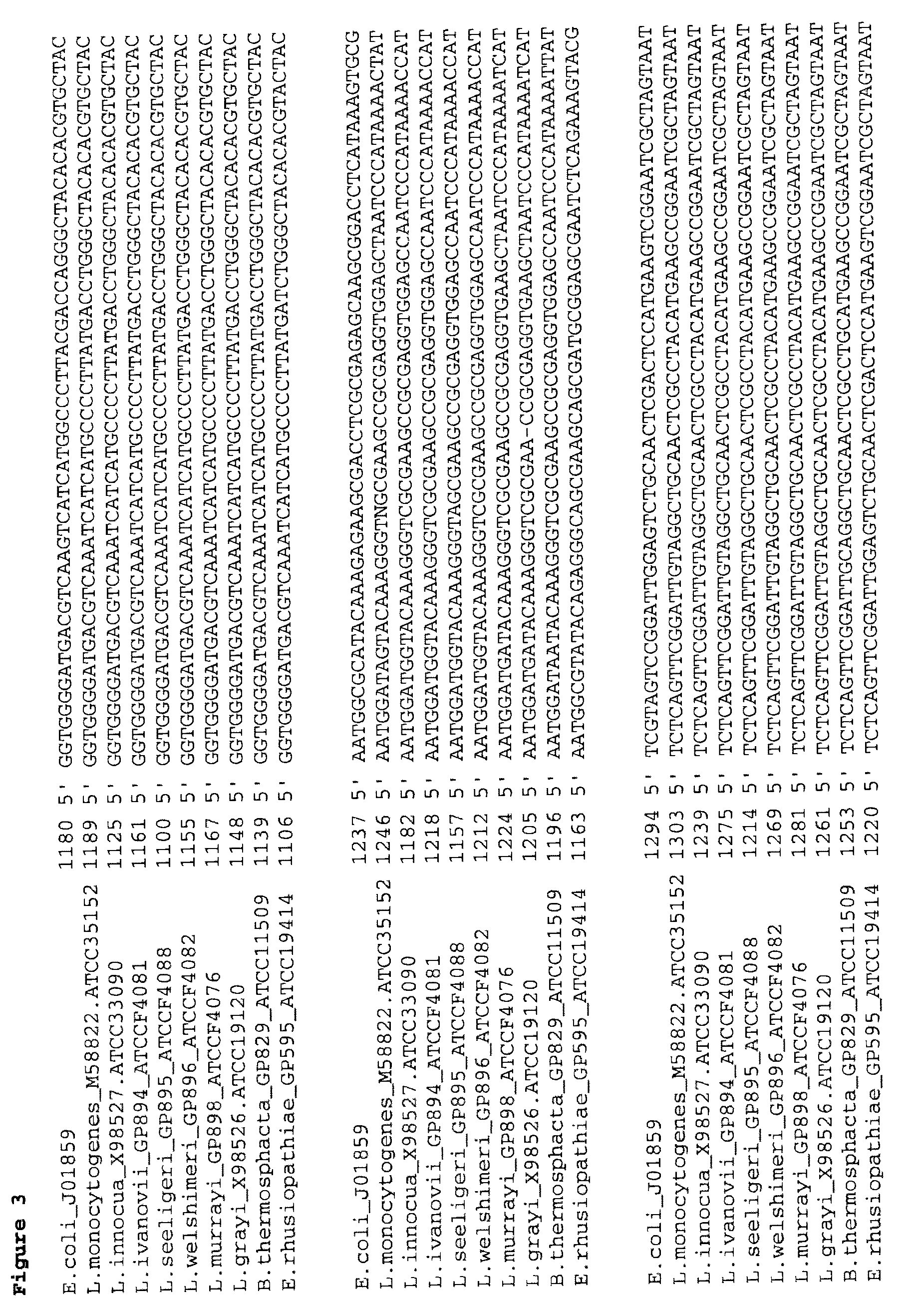 Compositions, kits and related methods for the detection and/or monitoring of Listeria