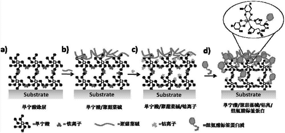 Method for purifying and directionally immobilizing histidine tag protein and application