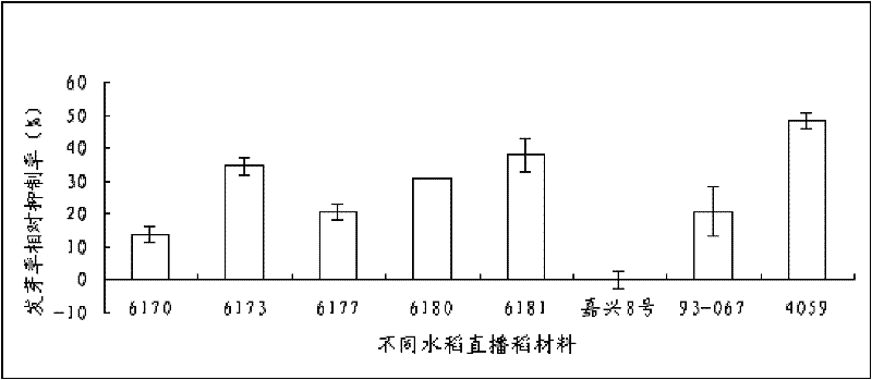 A rapid laboratory screening method for rice with weed suppression function