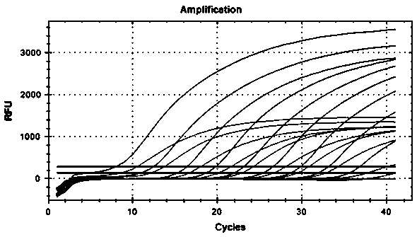 Dual fluorescence quantitation method for MO (mycoplasma ovipneumonia) and Mmc (Mycoplasma mycoides subsp.capri)