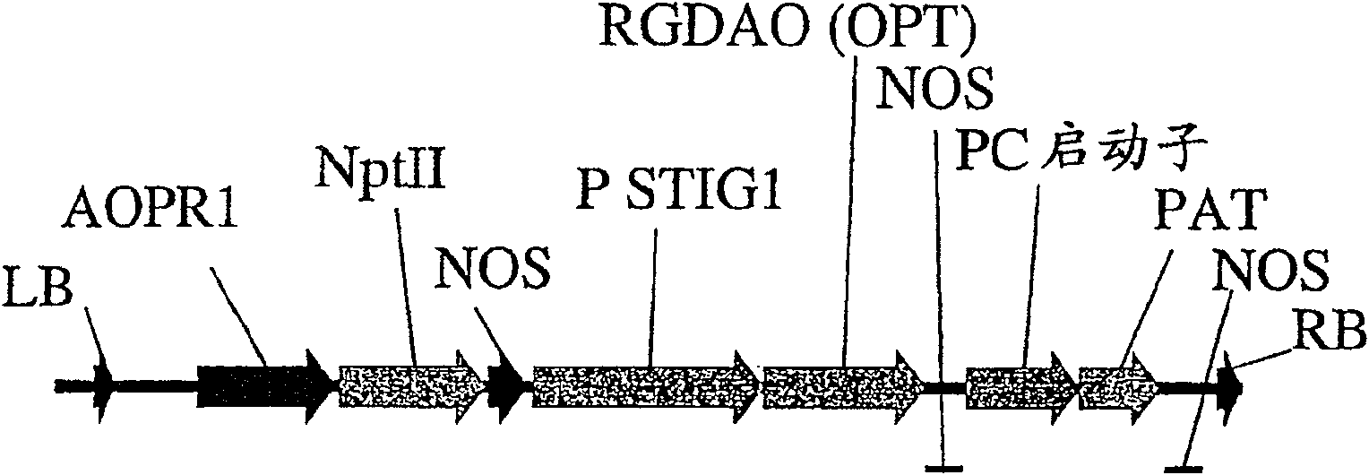 A method of selectively producing male or female sterile plants