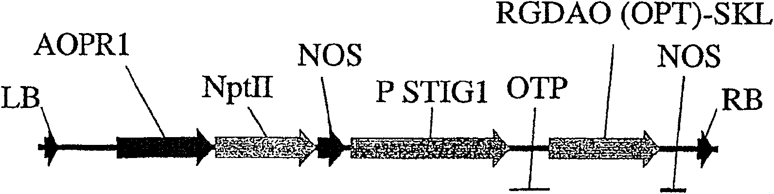 A method of selectively producing male or female sterile plants