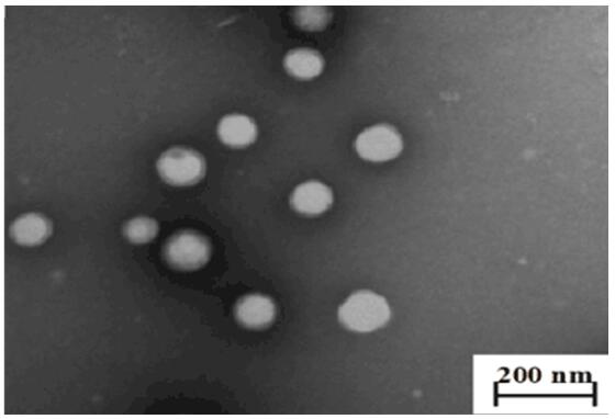 Fluorine-silicon modified styrene-acrylic emulsion with comb-shaped structure and preparation method of fluorine-silicon modified styrene-acrylic emulsion