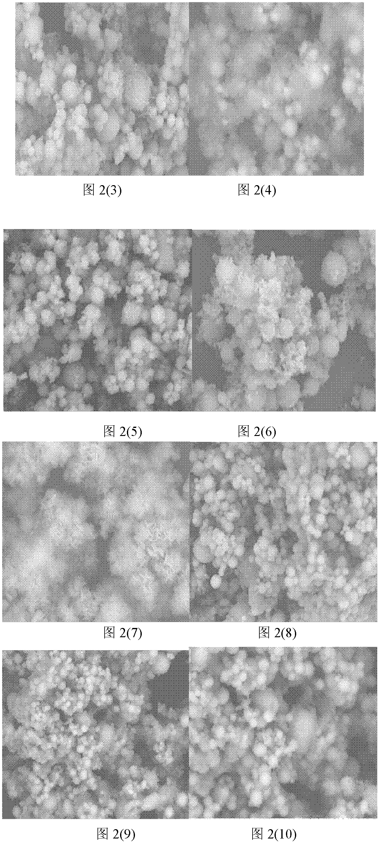 Method for coating micro/nano-metal powder by chemical vapor deposition