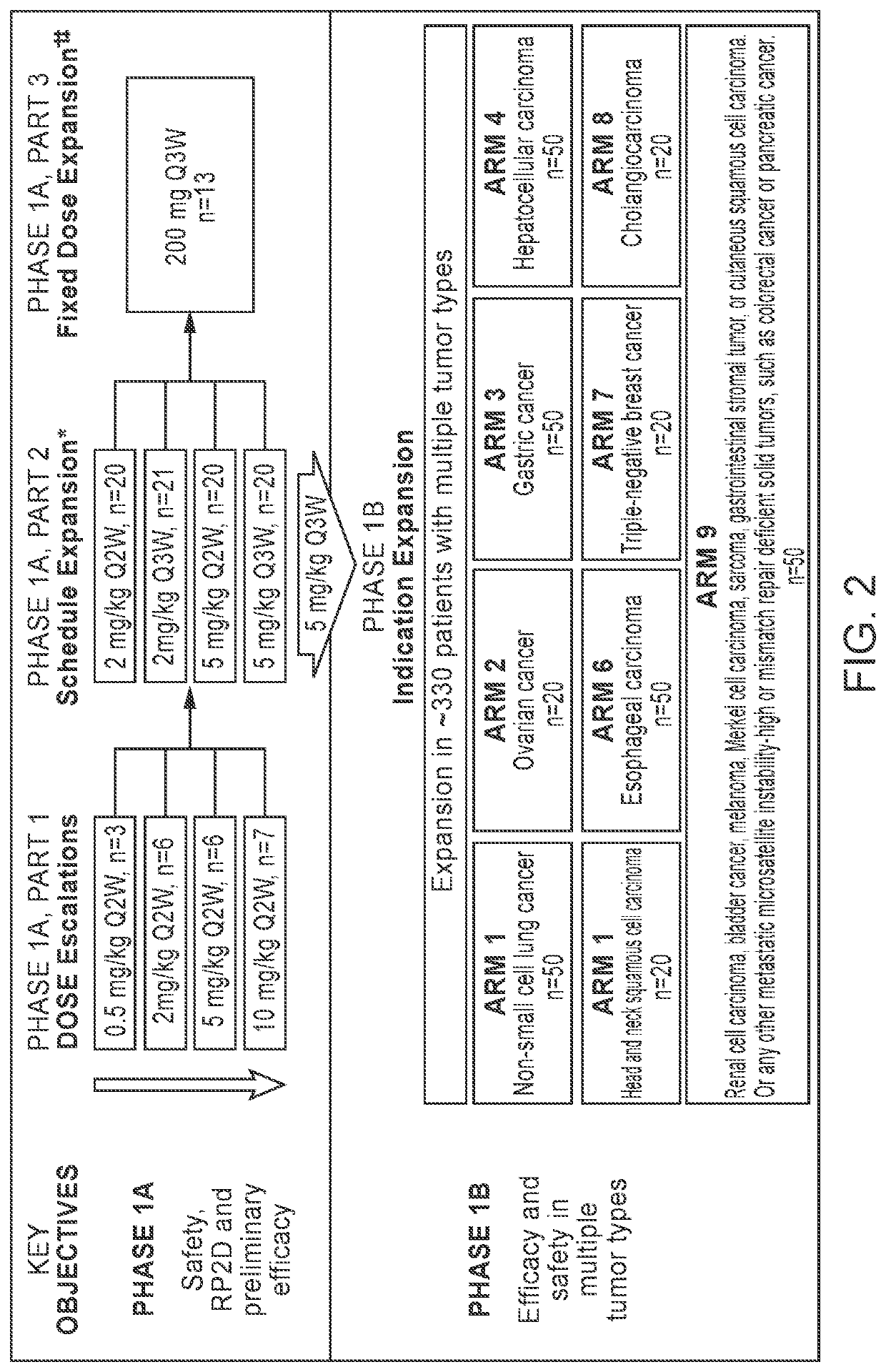 Immunomonotherapy for urothelial carcinoma