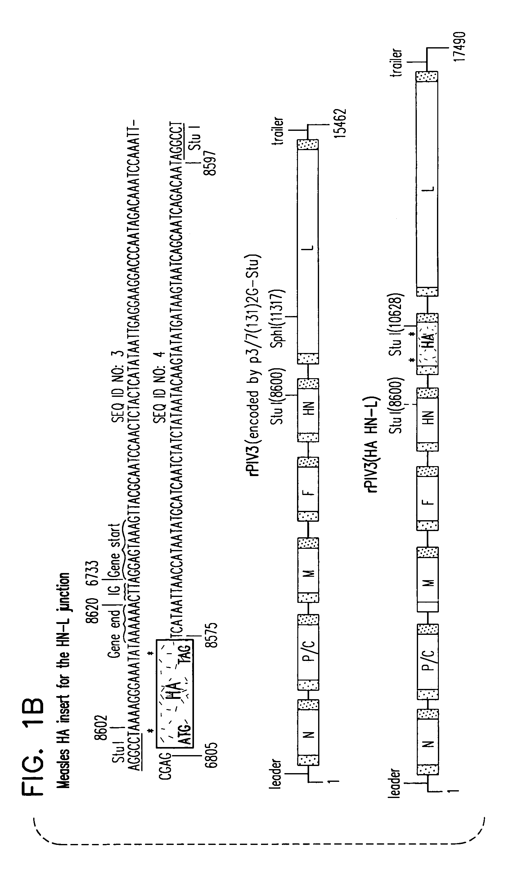 Construction and use of recombinant parainfluenza viruses expressing a chimeric glycoprotein