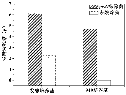 ptsG gene knocked out recombination bacterial efficiently expressing human-like collagen protein, construction method thereof, and protein expression