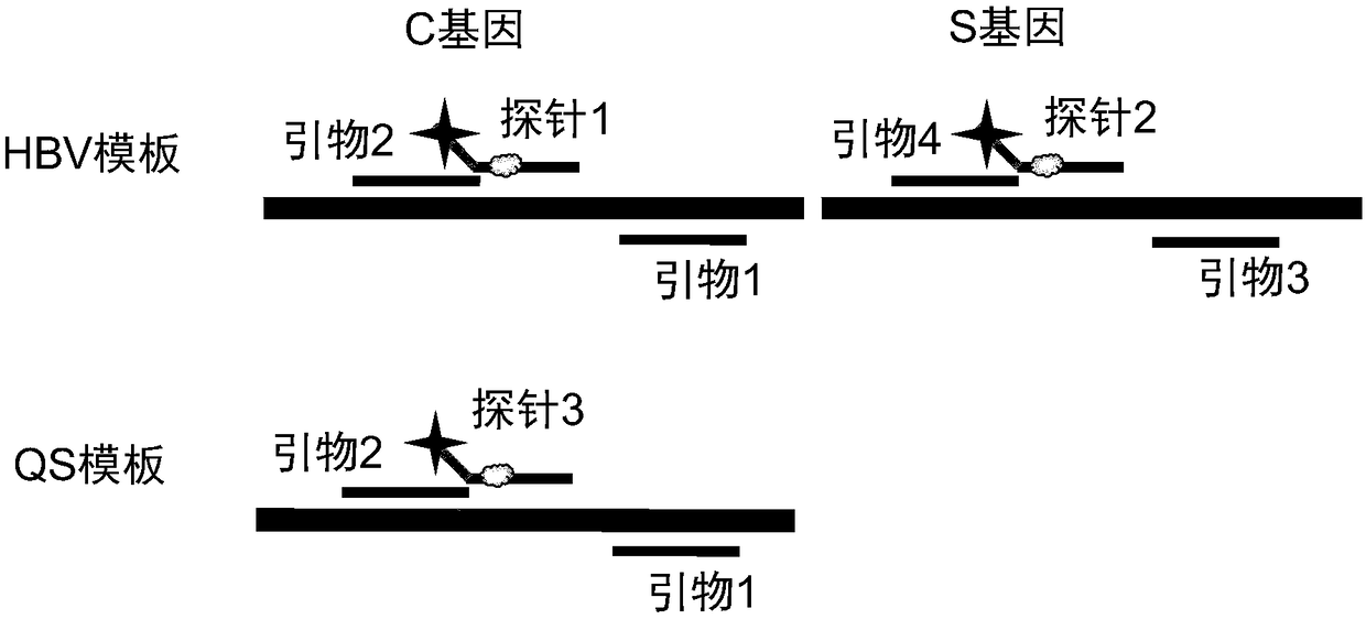 Quantitative detection kit for hepatitis B virus nucleic acid