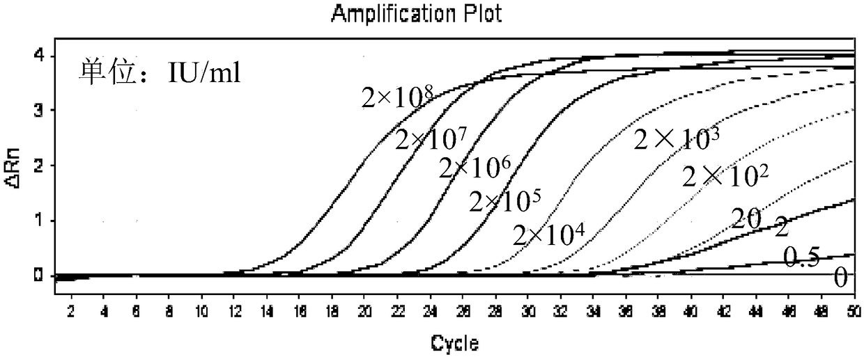 Quantitative detection kit for hepatitis B virus nucleic acid