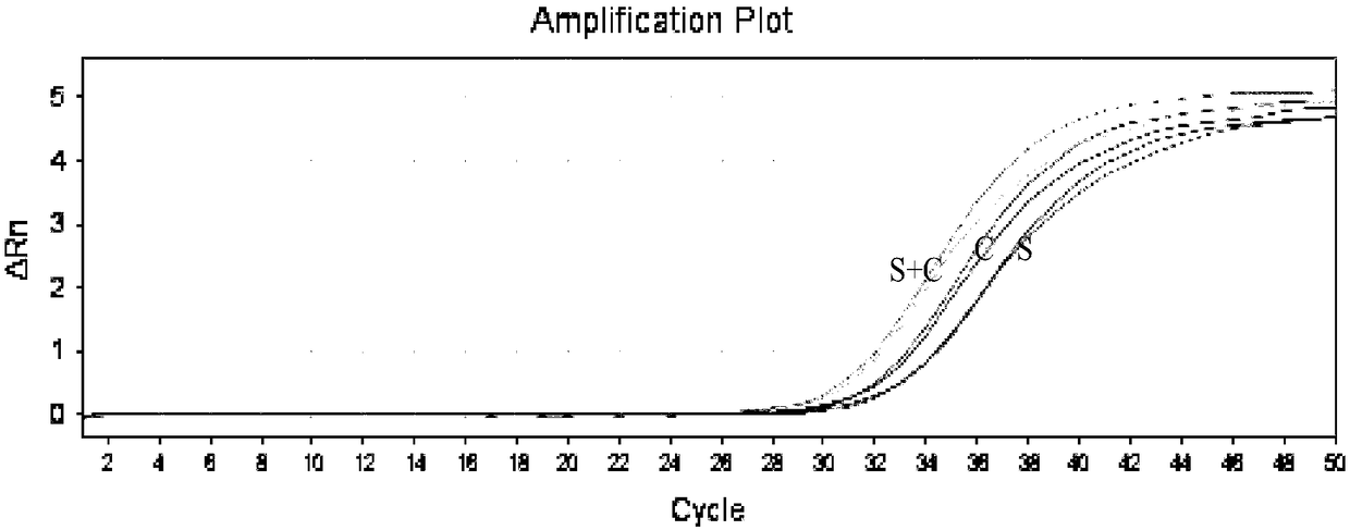 Quantitative detection kit for hepatitis B virus nucleic acid