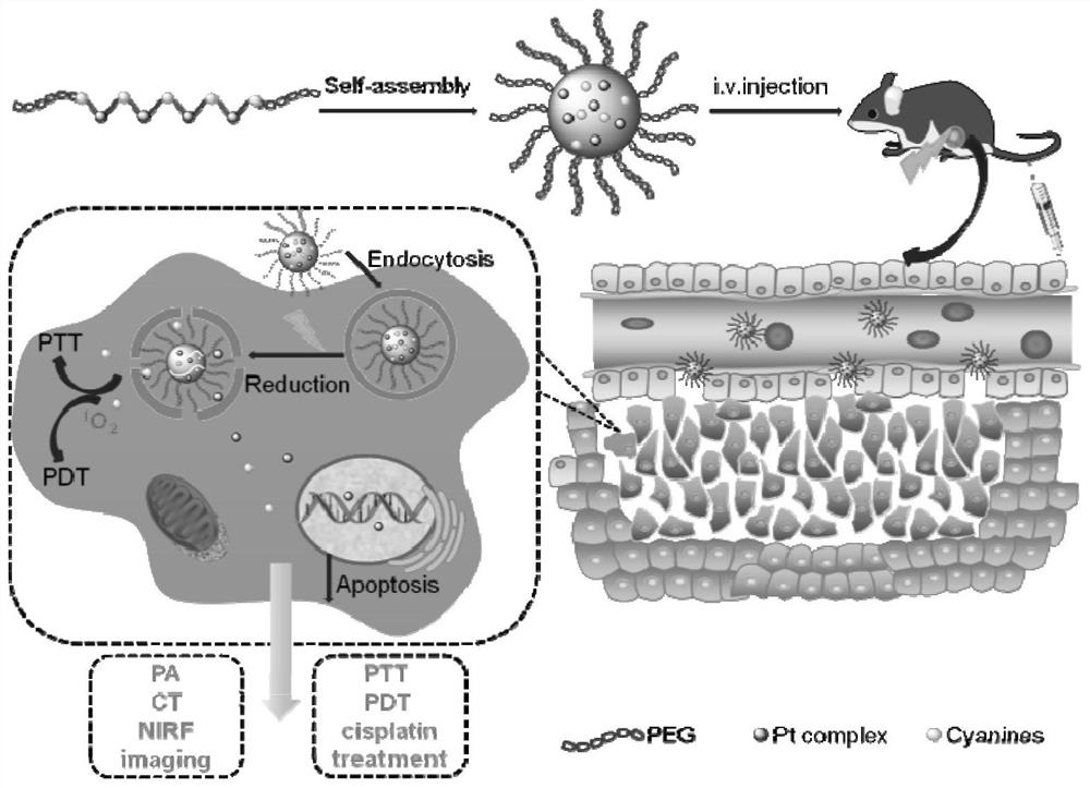 Multifunctional polymeric polyurethane prodrug polymer nano diagnosis and treatment agent