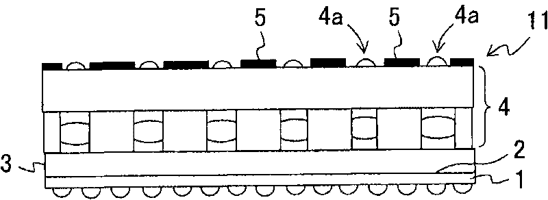 Electronic element wafer module and, optical element wafer module and method for manufacturing same