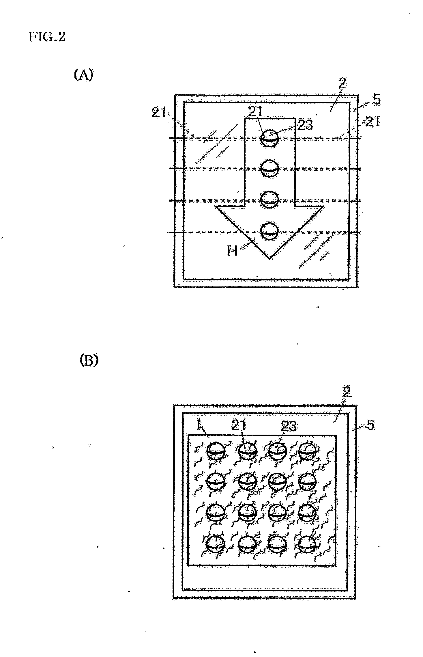 Device for Transmitting Information to a Living Being