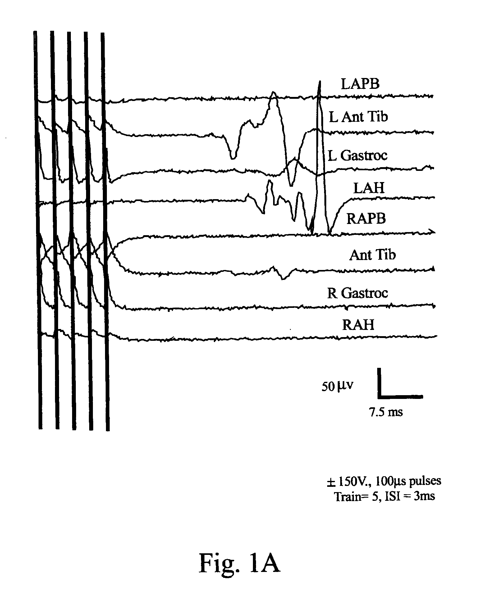 Methods and Systems for Generating Electrical Property Maps of Biological Structures