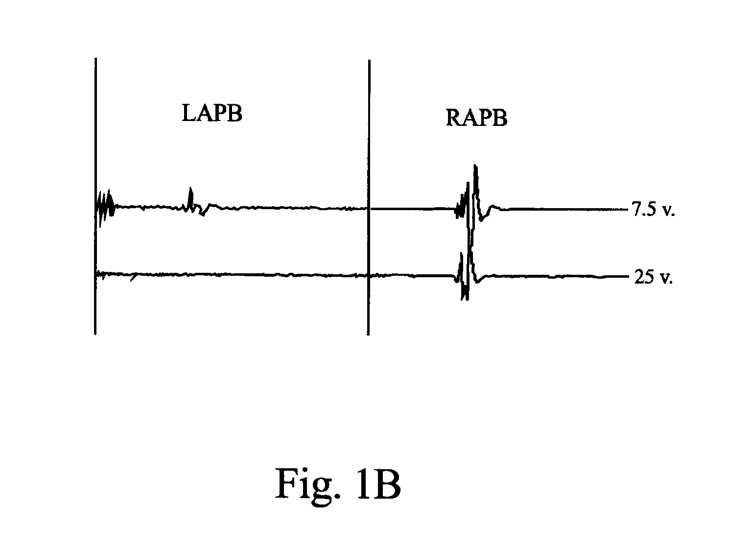 Methods and Systems for Generating Electrical Property Maps of Biological Structures