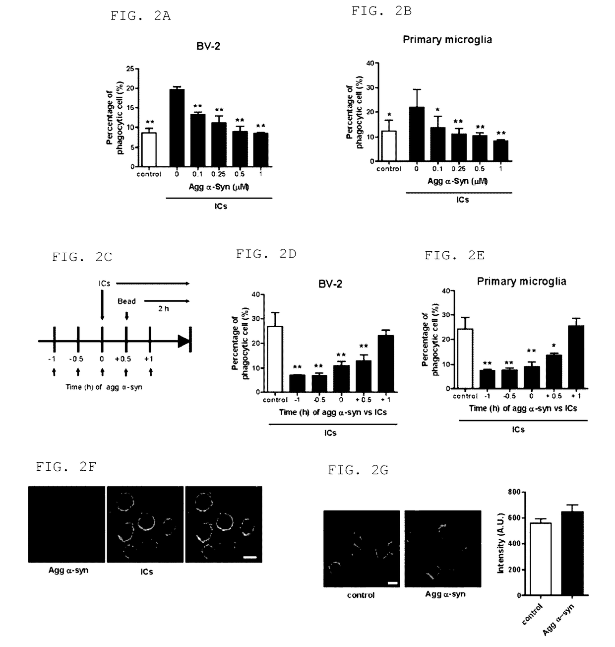 Pharmaceutical composition for preventing or treating neurodegenerative diseases