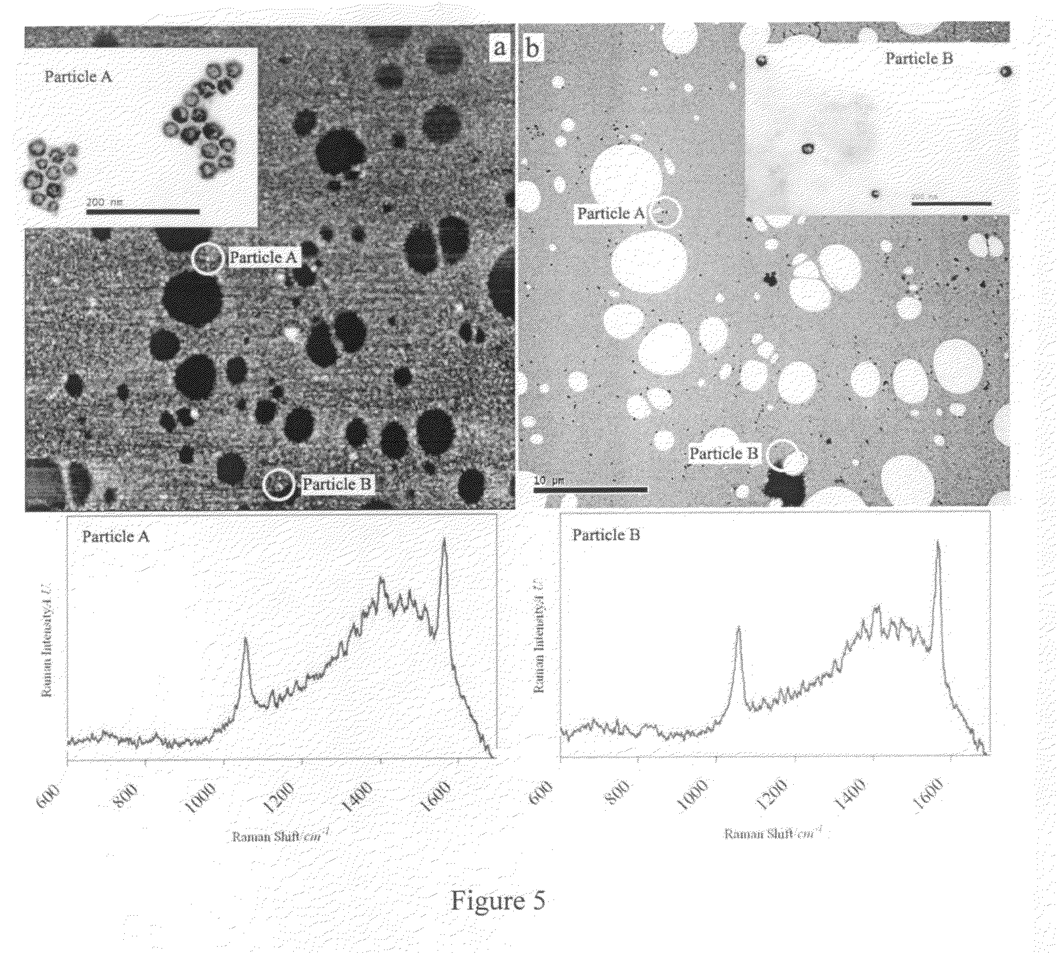 Targeted hollow gold nanostructures and methods of use