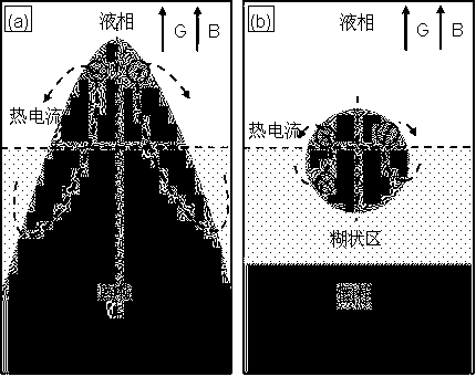 Method for transforming columnar crystal-orienting isometric crystal of directional solidified alloy with strong static magnetic field induction