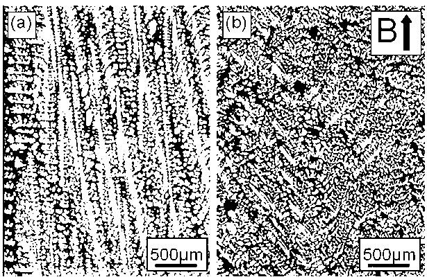 Method for transforming columnar crystal-orienting isometric crystal of directional solidified alloy with strong static magnetic field induction