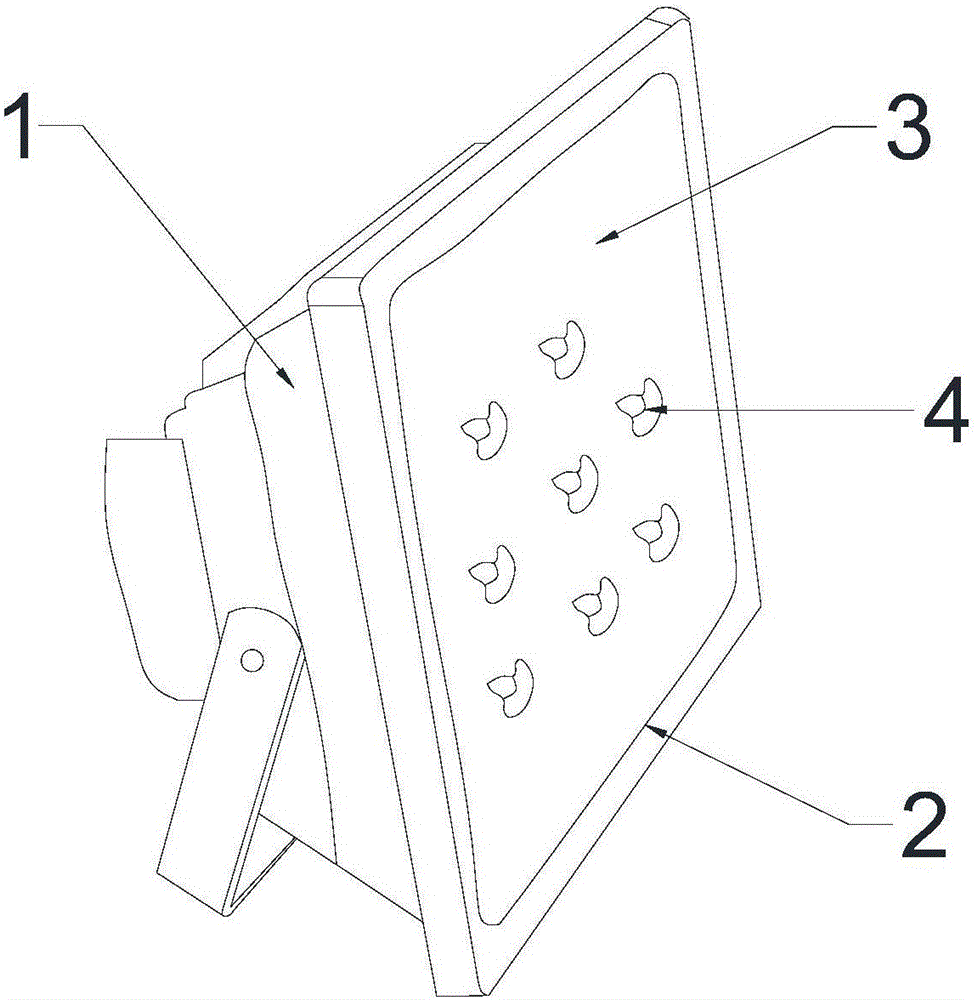 Laser radiation source plant growth device