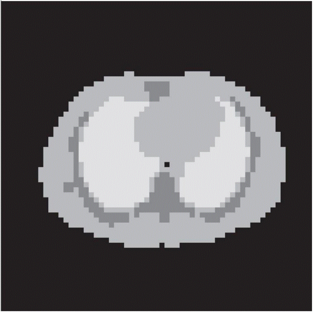 Low Rank based dynamic PET image reestablishment method