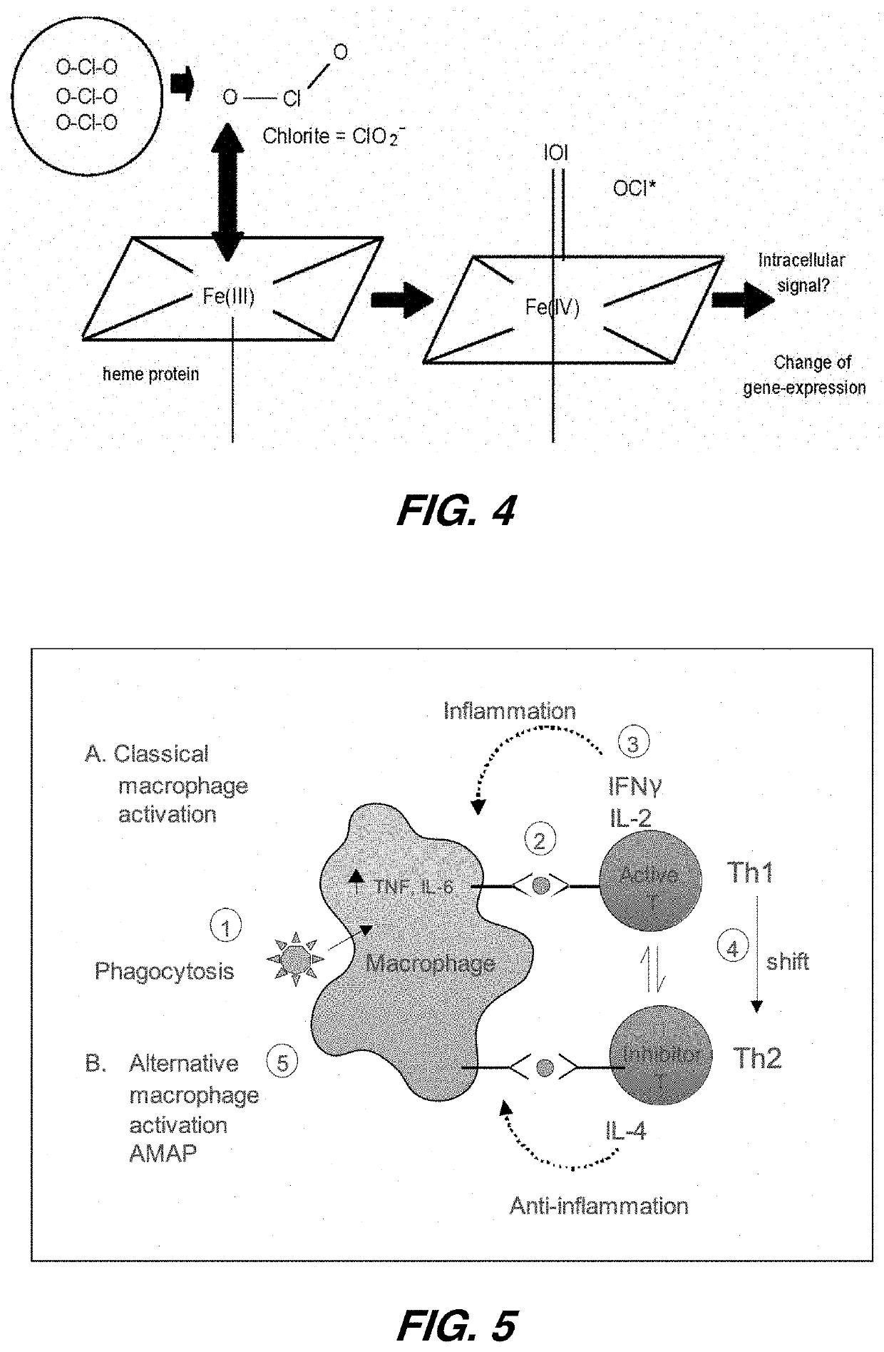 System and method of treating inflammatory lung diseases