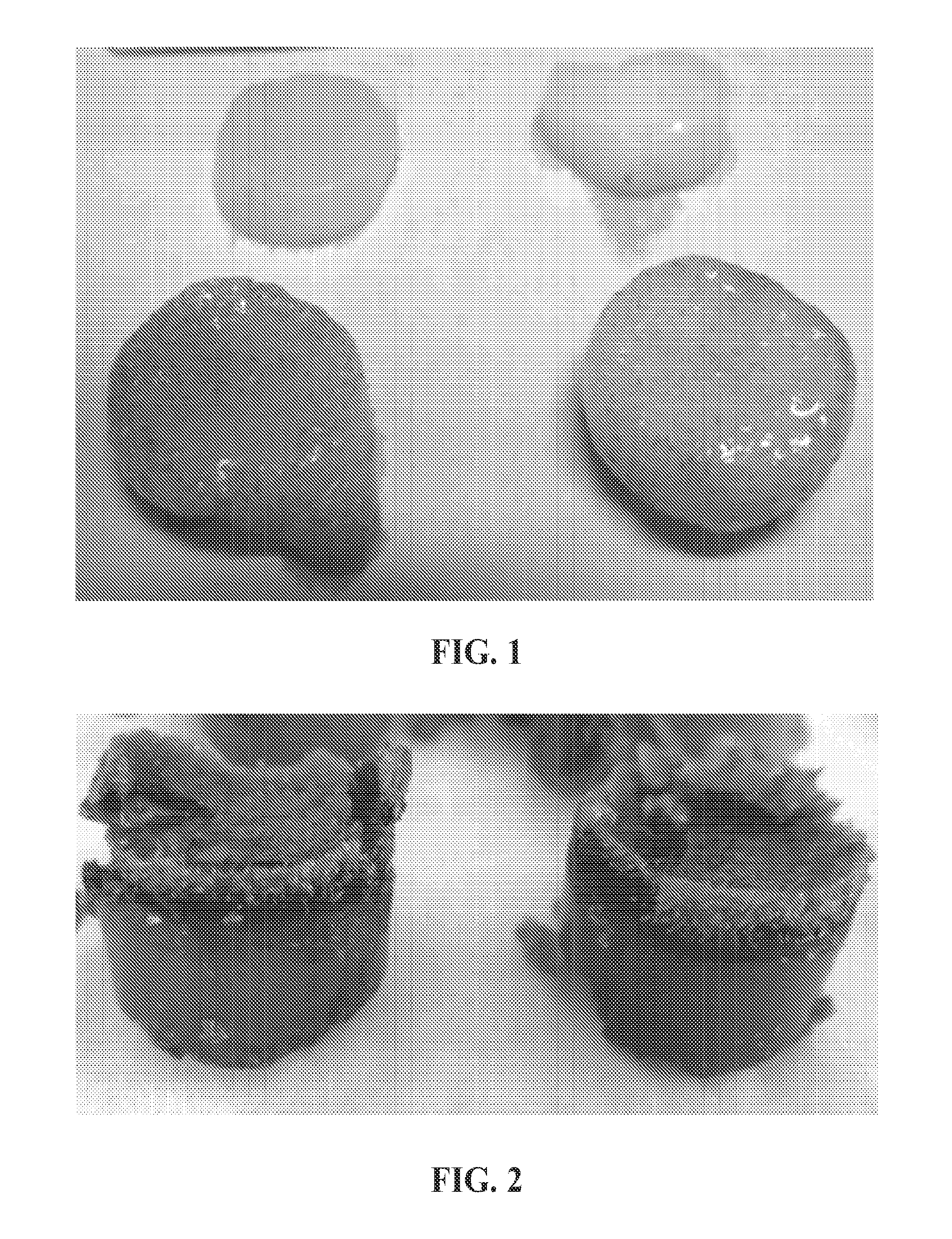 Magnesium/polymer composite-containing scaffolds to enhance tissue regeneration