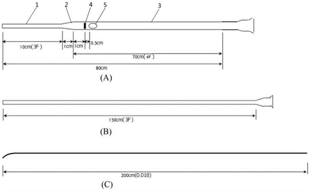 A hepatic artery drug box indwelling catheter system